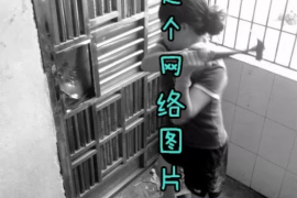 北流北流的要账公司在催收过程中的策略和技巧有哪些？