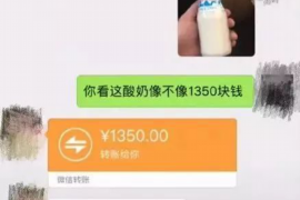 北流为什么选择专业追讨公司来处理您的债务纠纷？